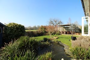 Photo 6- click for photo gallery